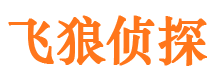 桐城市侦探调查公司